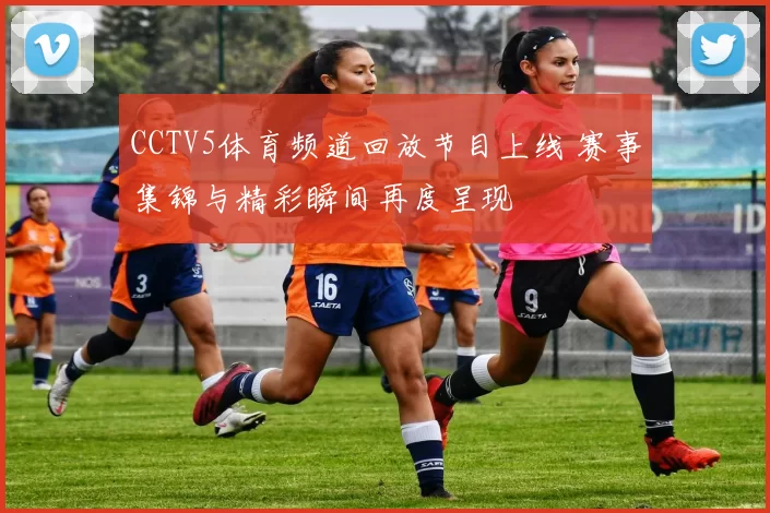 CCTV5体育频道回放节目上线 赛事集锦与精彩瞬间再度呈现