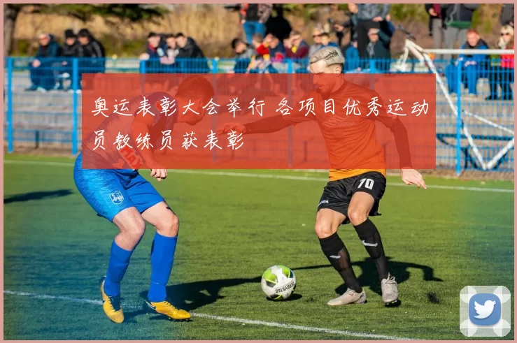 奥运表彰大会举行 各项目优秀运动员教练员获表彰