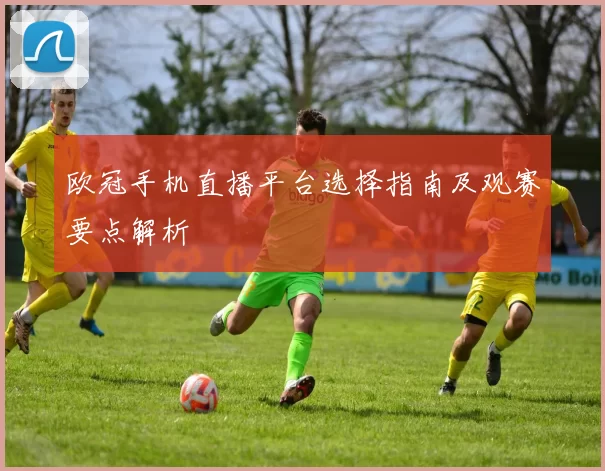 欧冠手机直播平台选择指南及观赛要点解析