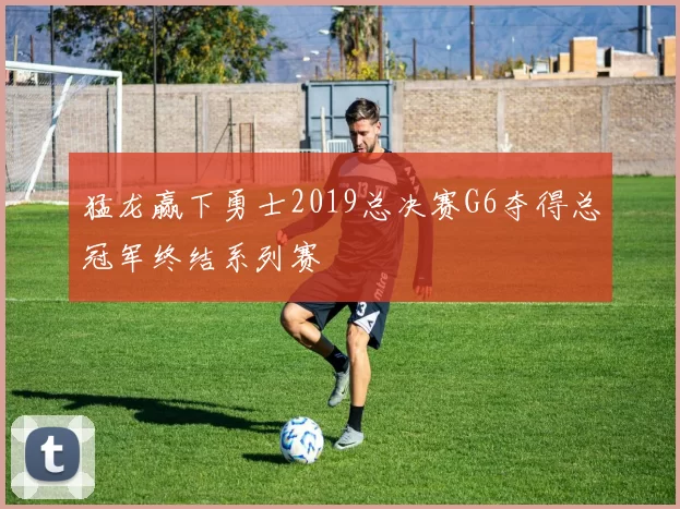猛龙赢下勇士2019总决赛G6夺得总冠军终结系列赛