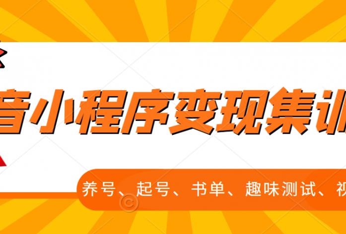 抖音小程序项目变现全套教程，学完即可实战