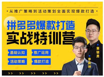 拼多多爆款快速打造实战干货(高权重高转化速成法则)