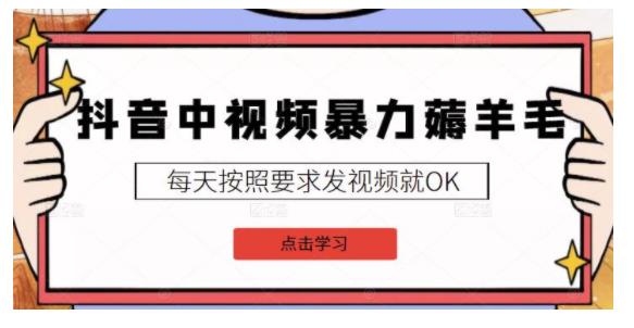 暴力薅抖音中视频羊毛(新号每天20老号能做到几百)