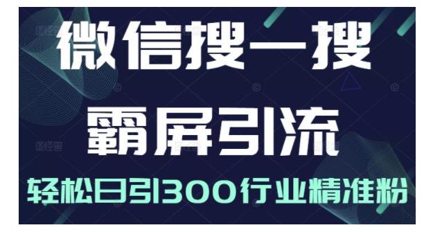 0基础学微信搜一搜霸屏引流(打造精准流量被动引流系统)