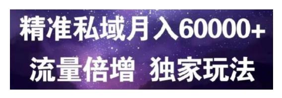 独家流量倍增引精准流到私域流量(月入轻松30000以上)