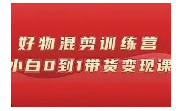 菜鸟从0开始做混剪抖音带货(稳定出单)