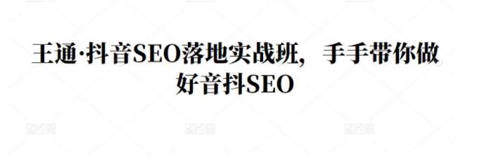 王通手把手带你玩转抖音SEO(自动引精准流量)