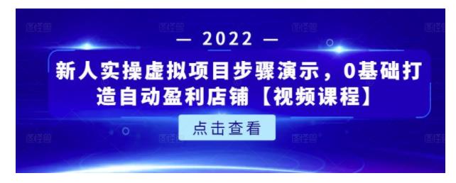 0基础学虚拟资源项目(快速打造自动盈利店铺)