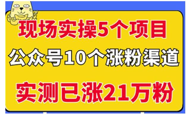 实战演示5个公众号项目10个涨粉渠道(同时操盘300个公众号)