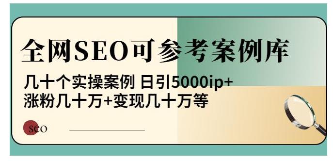 33个SEO网站优化实操案例(日引5000流量变现百万)