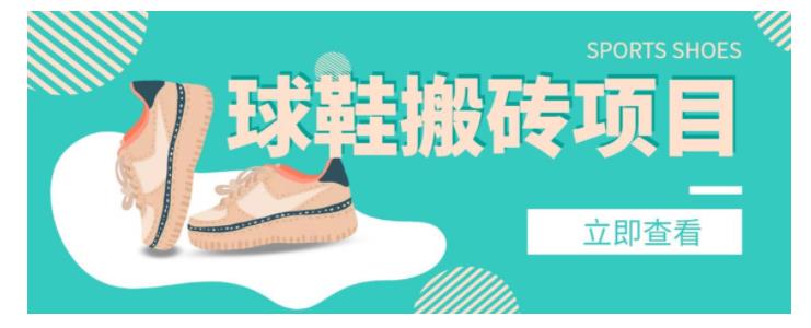 外面收费998的球鞋搬砖项目，月入轻松5000+的项目案例解析
