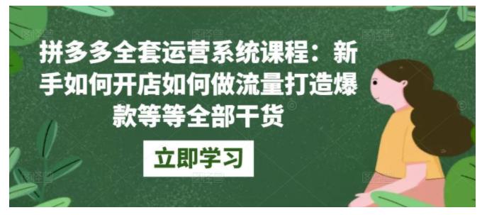 新手快速打造拼多多爆款(拼多多全套运营干货)