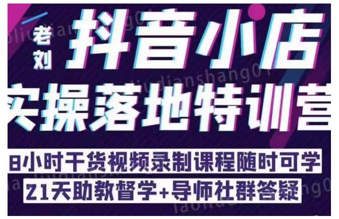 抖音小店无货源精细化运营(抖音小店实操落地特训营)