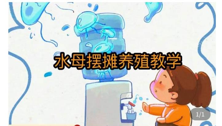 0基础学水母摆摊教学(摆摊养殖技术拿货渠道)