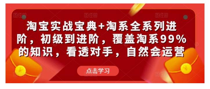 0基础学淘系全系列玩法(淘宝实战宝典学会即是大神)