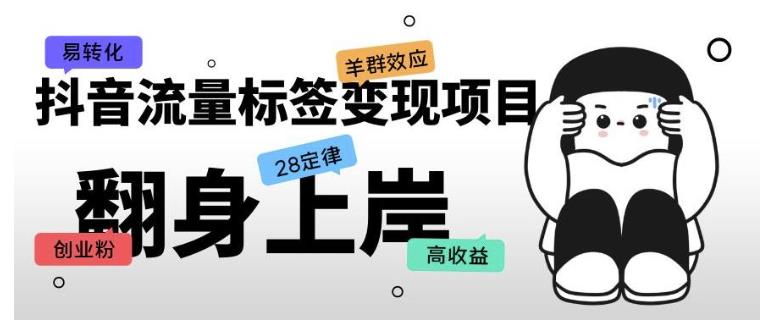 0基础学抖音流量标签引创业粉(操作简单高收益)