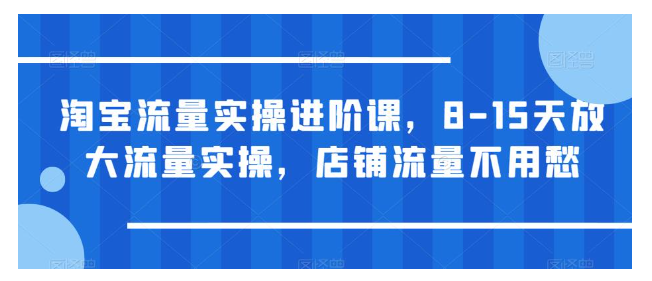 8天教会你淘宝流量实操进阶(从此店铺流量不用愁)