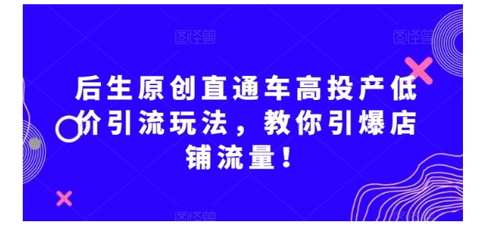 0基础学直通车高投产低价引流玩法(引爆店铺流量)