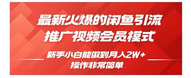 无需投资的闲鱼引流推广影视会员项目(轻松月收益10张)